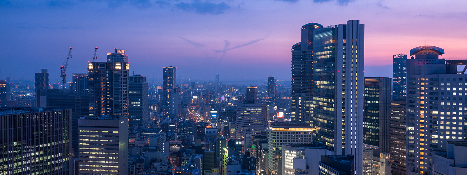 お部屋探しは3之助